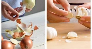 Onion Garlic Peel : किसी औषधि से कम नहीं, प्याज लहसुन के छिलके 3 स्वास्थ्य समस्याओं से दिला सकते हैं राहत