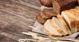 ब्राउन ब्रेड बनाम व्हाइट ब्रेड: अगर आप नाश्ते में ब्रेड खाते हैं, तो जान लें कि कौन सी ब्रेड आंतों के लिए हानिकारक