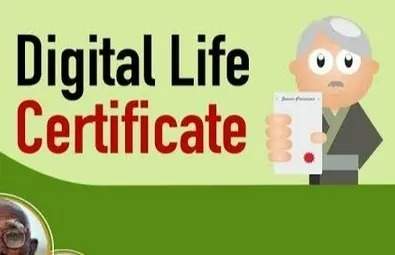Life Certificate, Pensioners News, Important Update, Financial Wellness, Retirement Update, Pension Security, Stay Informed, Urgent Announcement, YouTube Video Update